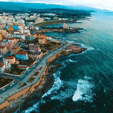 Hillary's Loft Daire